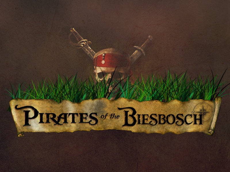 Logo Pirates of the Biesbosch